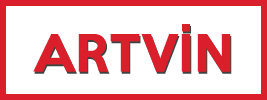 artvin logo
